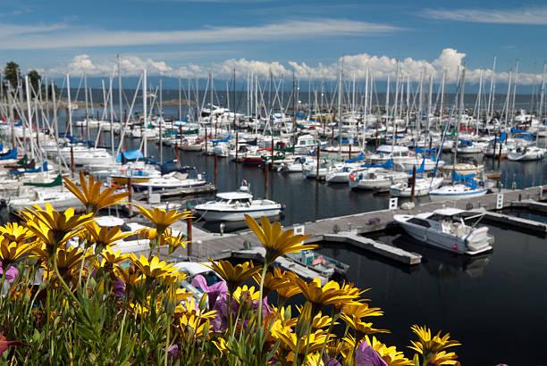 parksville-bc-vancouver-island-harbour Reliable electricians in Parksville for every project
